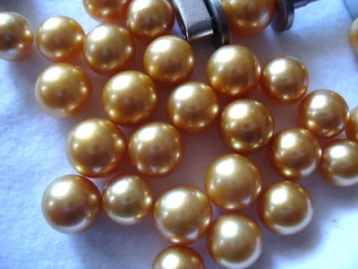 Champagne and golden colors sea pearls