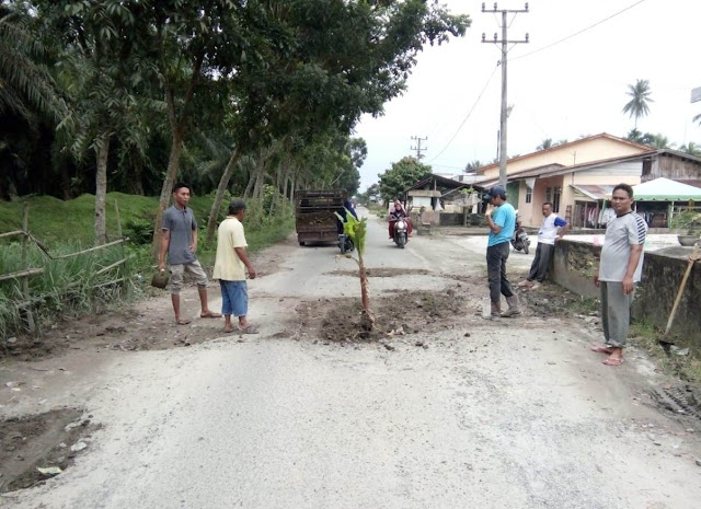 Kecewa Jalan Penuh Lubang, Warga Desa Sei Kamah II dan Sei Kamah Baru Tanam Pohon Pisang di Jalan Kecewa Jalan Penuh Lubang, Warga Desa Sei Kamah II dan Sei Kamah Baru Tanam Pohon Pisang di Jalan