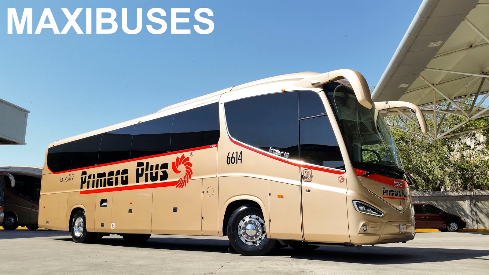MAXIBUSES PRIMERA PLUS