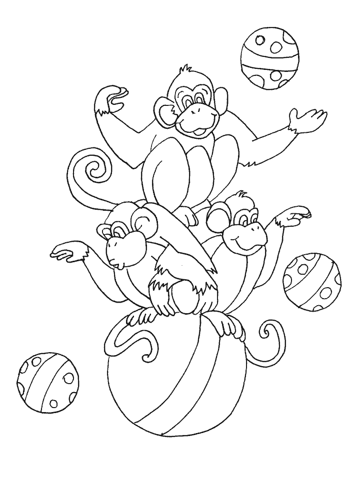 Featured image of post Infantil Macaco Para Colorir