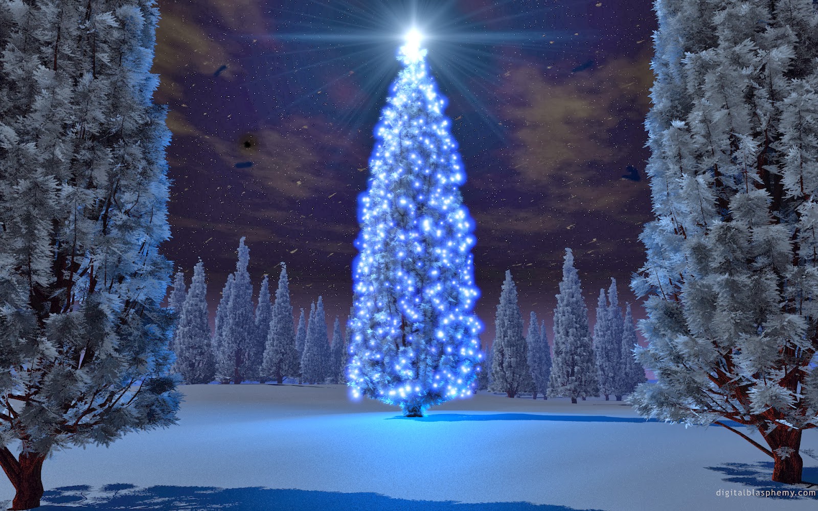 Beautifull Christmas Tree HD Background Wallpaper - HD wallpaper