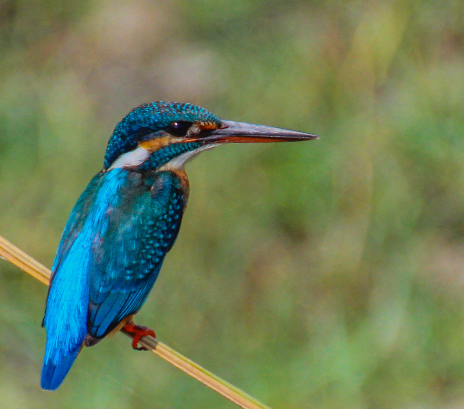 Изображение не требует описания