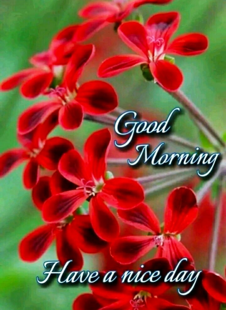 Good Morning Images For Whatsapp