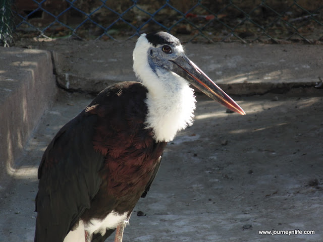 Gulbarga Government Zoo, Karnataka