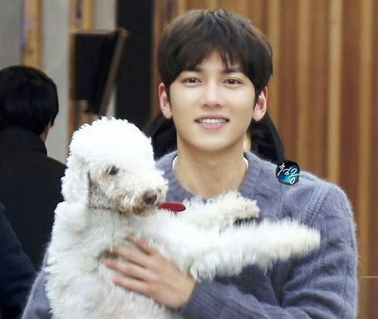 Nama Anjing Park Seo Joon dan Aktor Korea Selatan lainnya Memelihara Anjing