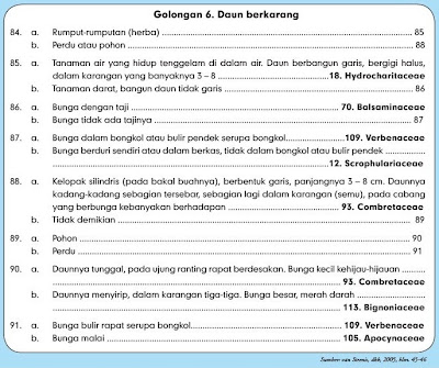 Kunci Determinasi Yang Sesuai Dengan Ciri Ciri Tanaman Mangga Berbagi Tanam