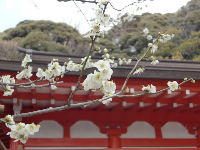 �`���V�_�ЁF�Ñ��