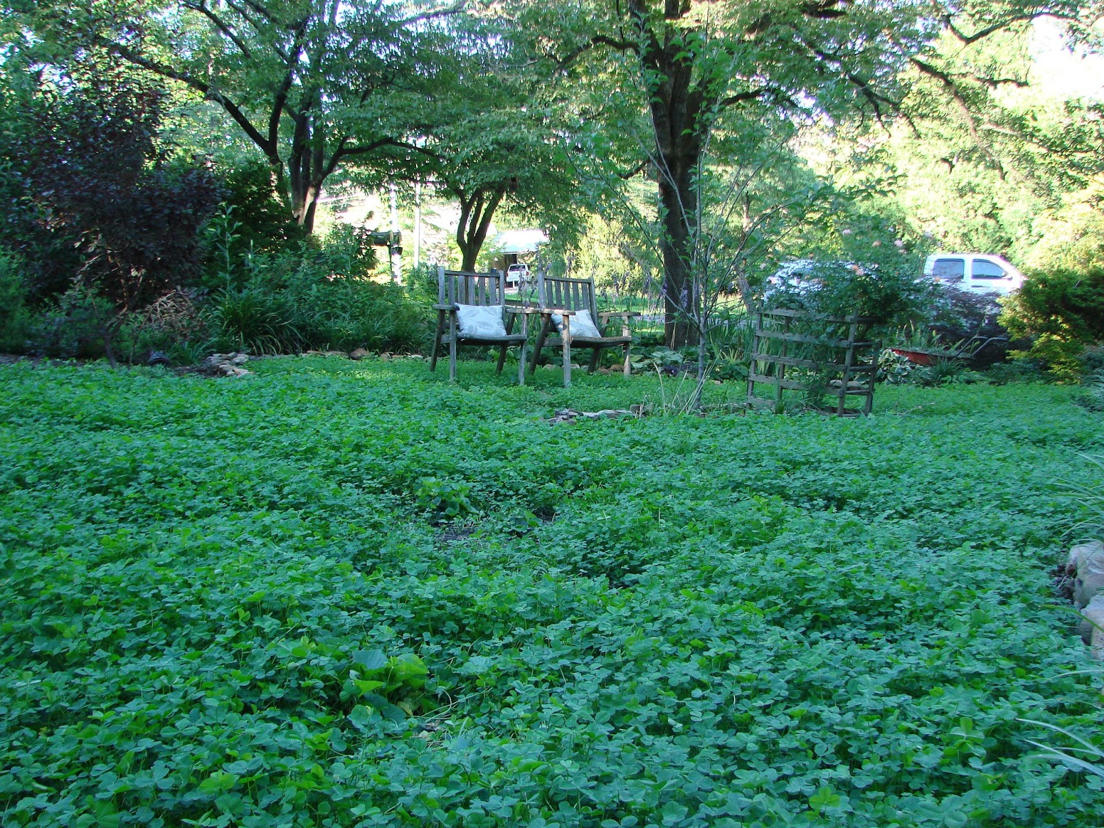 B.I. Redux: Front yard update.