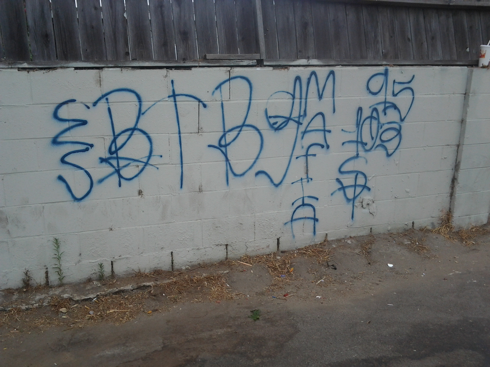 The Truth About Long Beach Crips: Finally Revealed - dzztkam