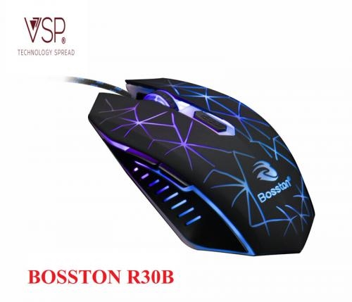 Chuột Dây Boston R30b