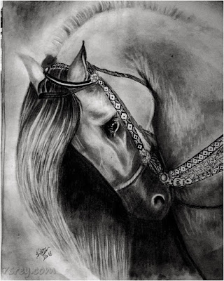 رمزيات حصان