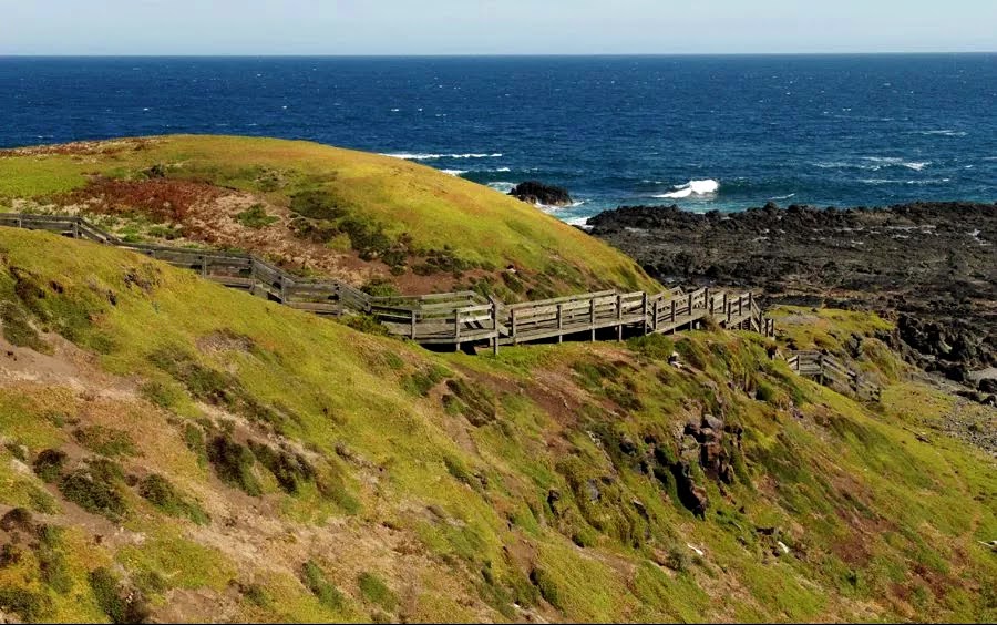 P island. Кинг (остров, Тасмания). Остров Кинг Австралия. Остров Филиппа Австралия. Остров Филиппа Австралия Мельбурн.