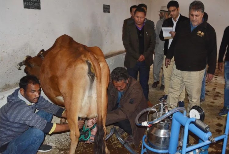 union budget 2020 expectations government should look into dairy sector to boost farmer income