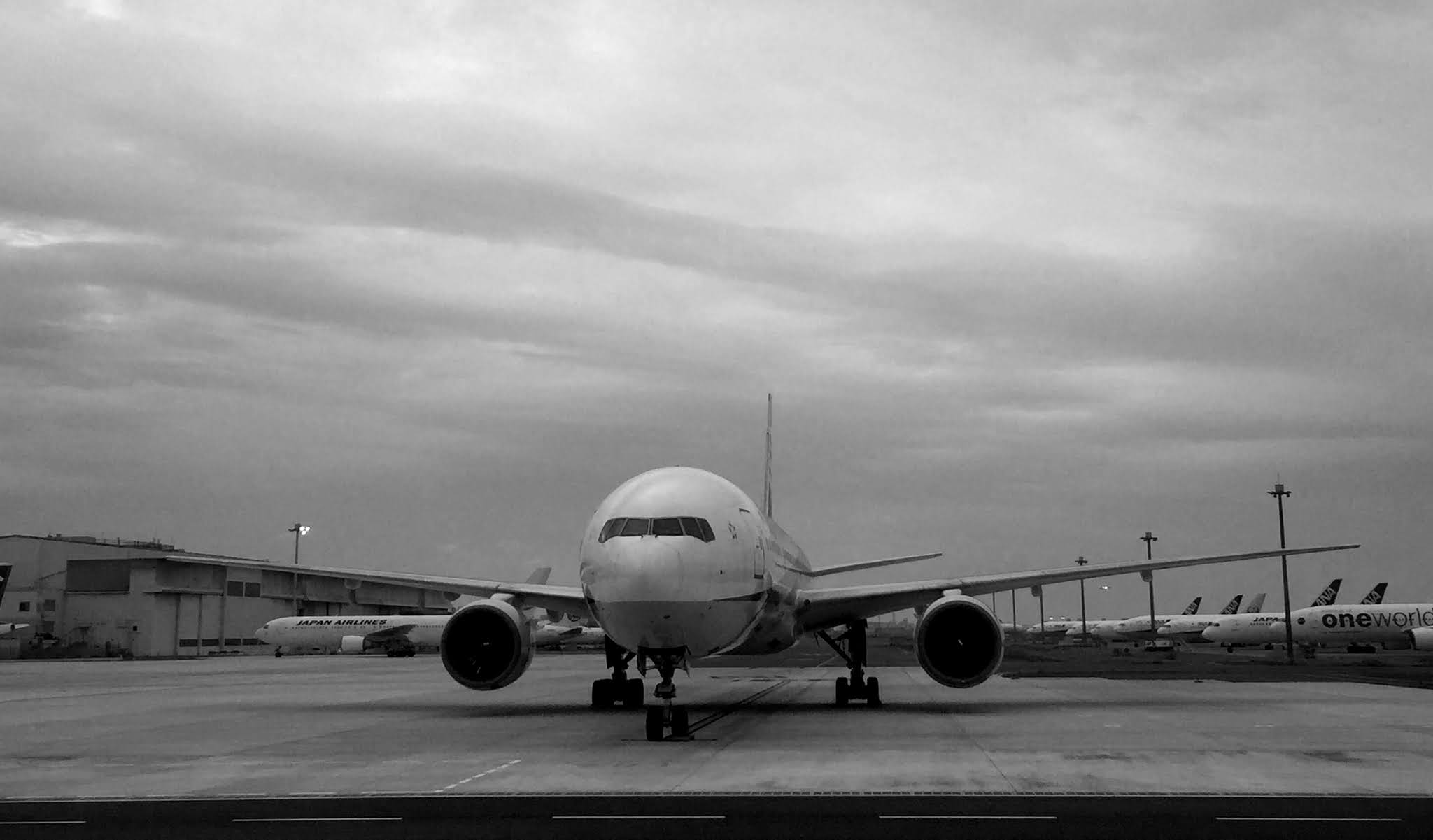 Limited Cargo Shipping Available ~ Japan Dog Export