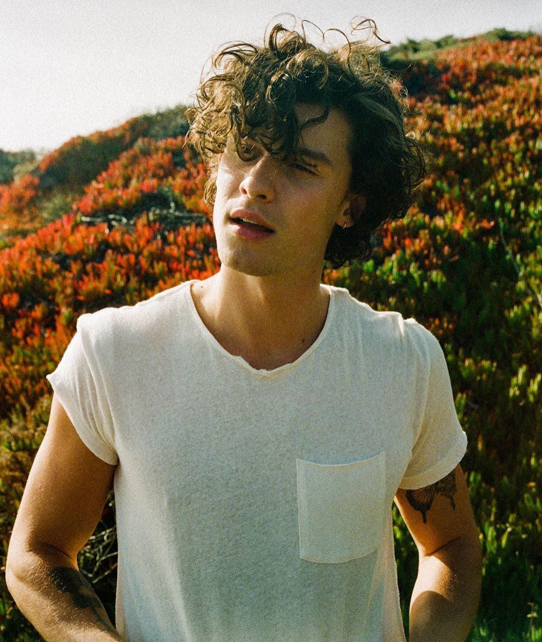 Shawn Mendes Wiki, Age, Biography, Birthday, Trivia, and Photos