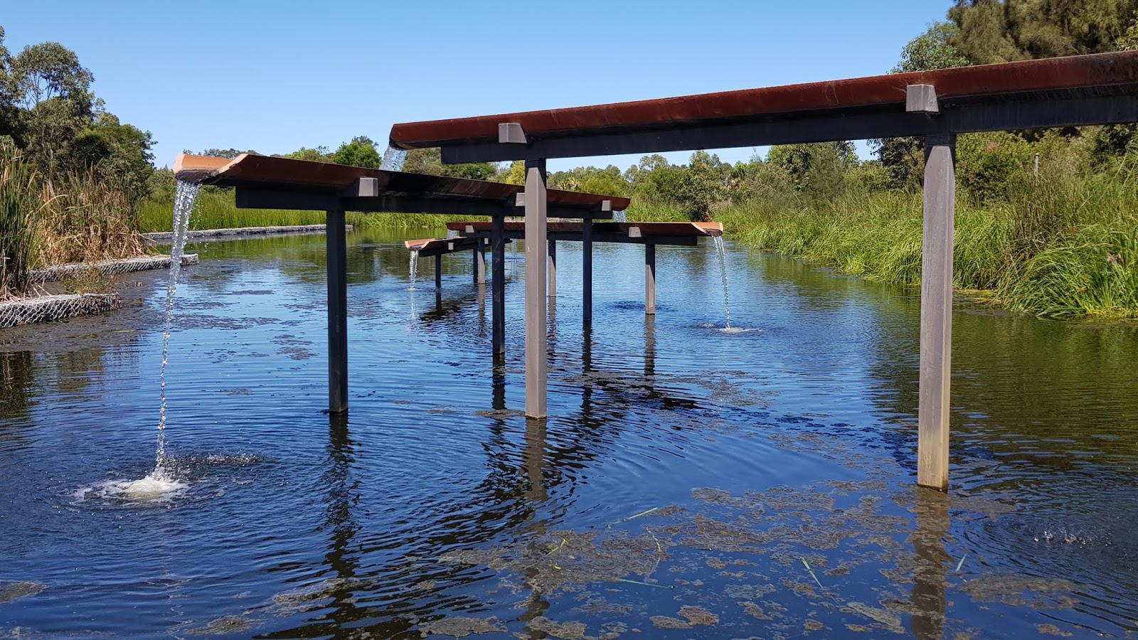 Sydney City and Suburbs Alexandria, Sydney Park, wetlands