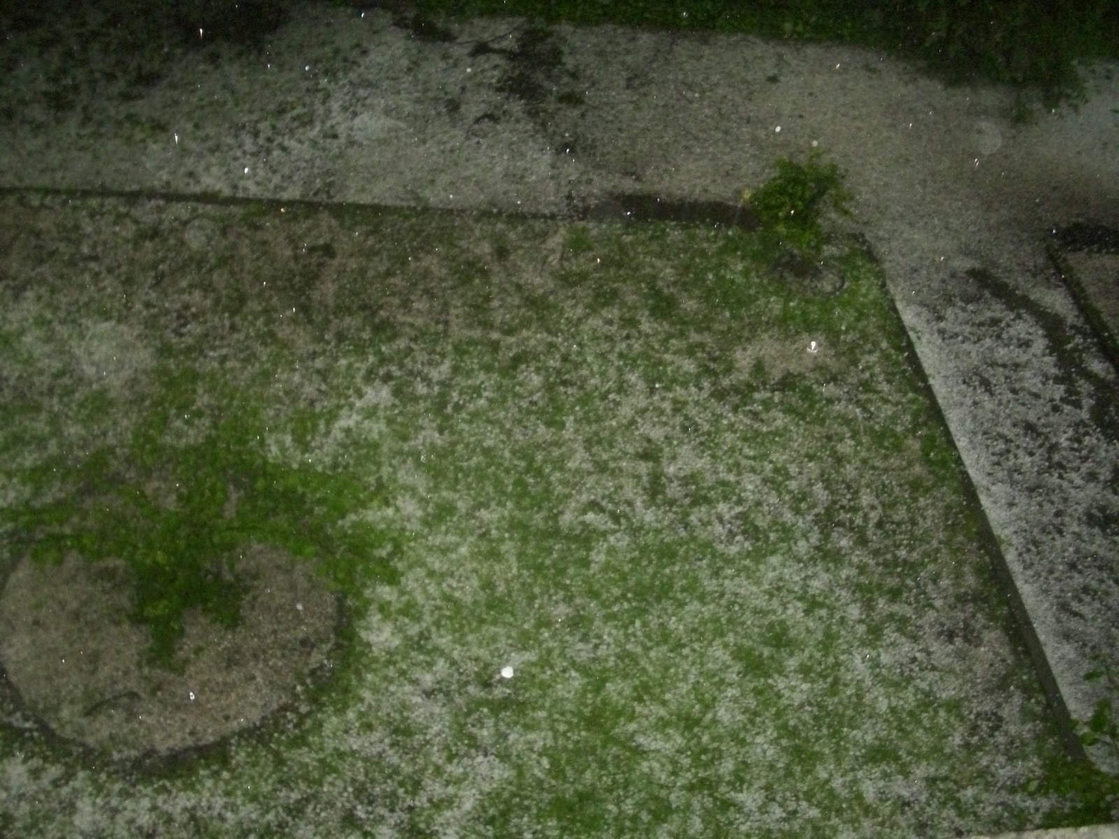 "milimani": Mai 2012