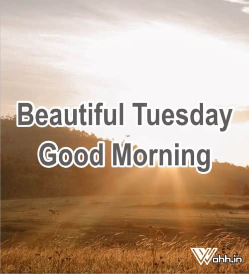 Best 51 Good Morning Tuesday Tuesday Quotes Wishes Wahh Hindi Blog