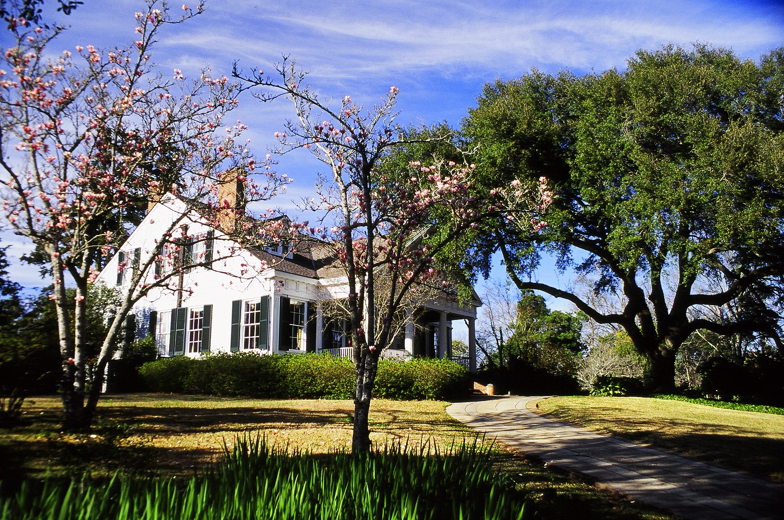 One Day in America Visiting Rosalie and The Burn Plantations in