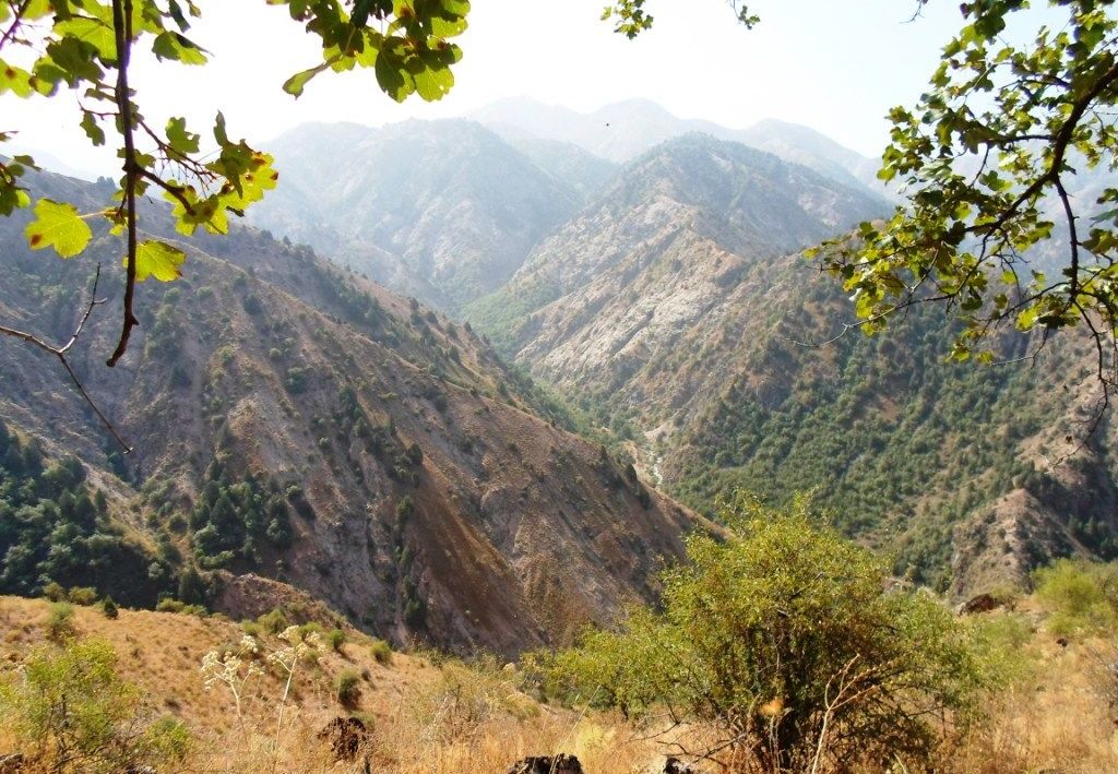 Горы варзоба