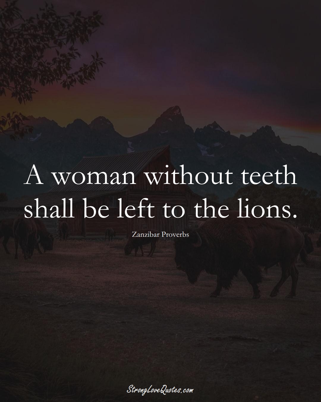 A woman without teeth shall be left to the lions. (Zanzibar Sayings);  #AfricanSayings
