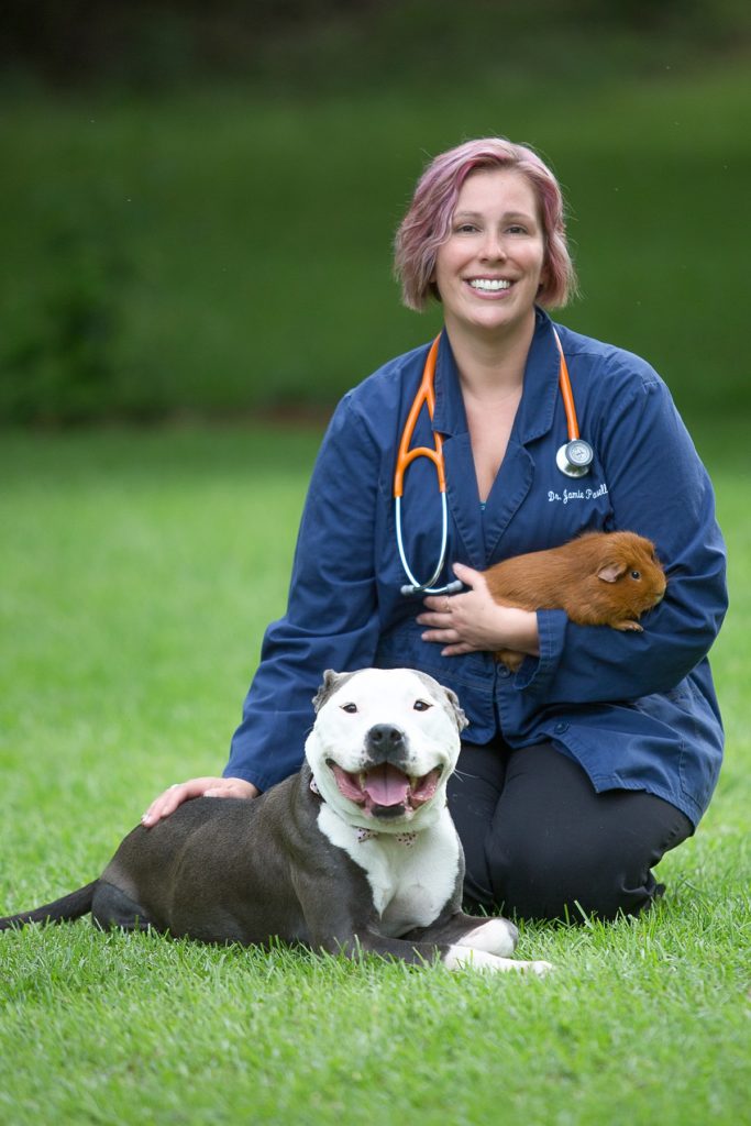ABOUT VETERINARIAN OCCUPATION