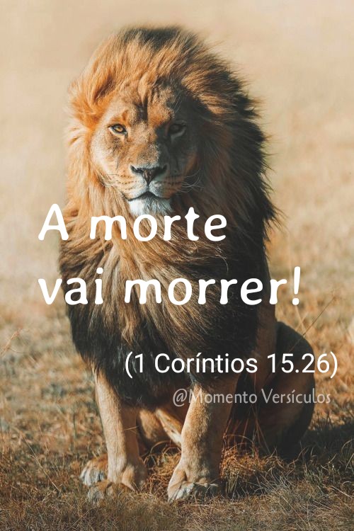 Momento Versículos ☘️ A morte da