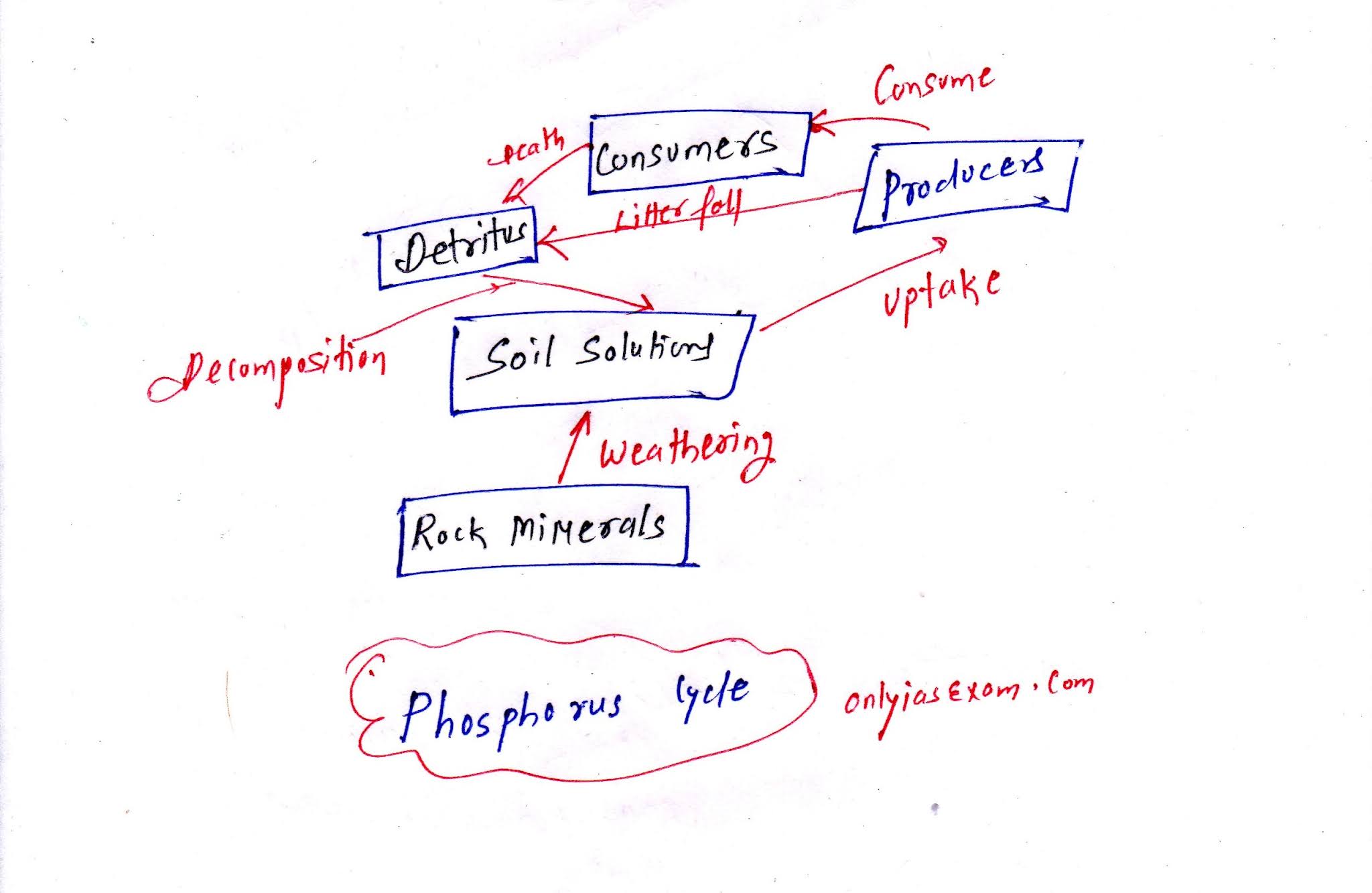 Principle of Biogeochemical cycles Principle of ecology UPSC