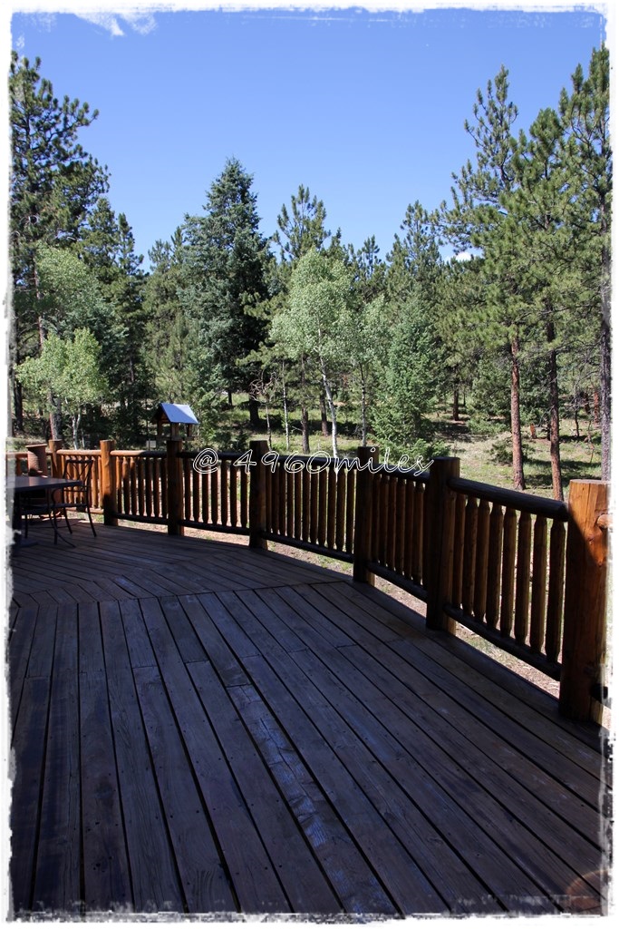 4960 Miles: Berlin - Vancouver - Denver: Leben im Wald