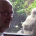 Maior coruja do mundo coloca ovos na janela de um idoso e agora os filhotes assistem à TV com ele