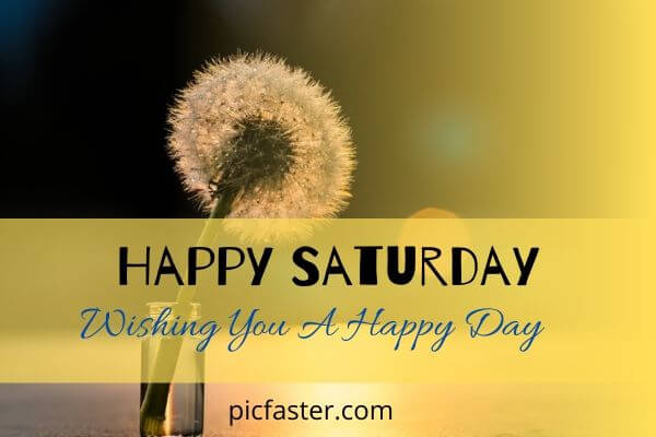 Get 251+ New Good Morning Saturday Images HD Download