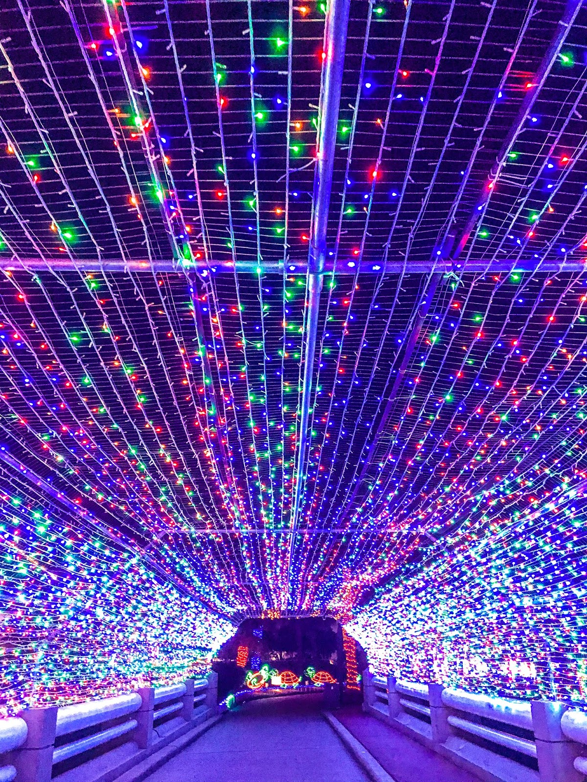 15+ Best Things to Do In Galveston During The Holidays