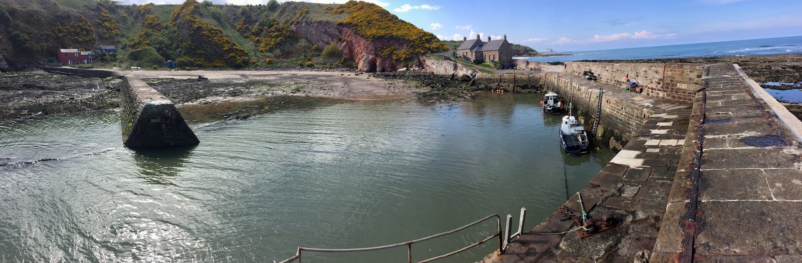 coastrider Isolation Cycle 31; Cove Harbour...