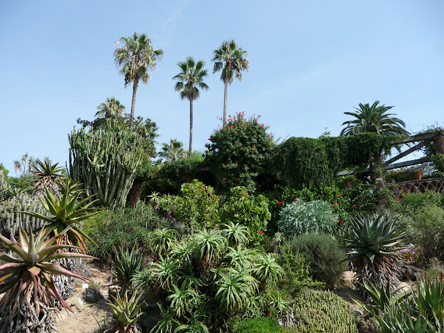 В ботаническом саду «Маримуртра»