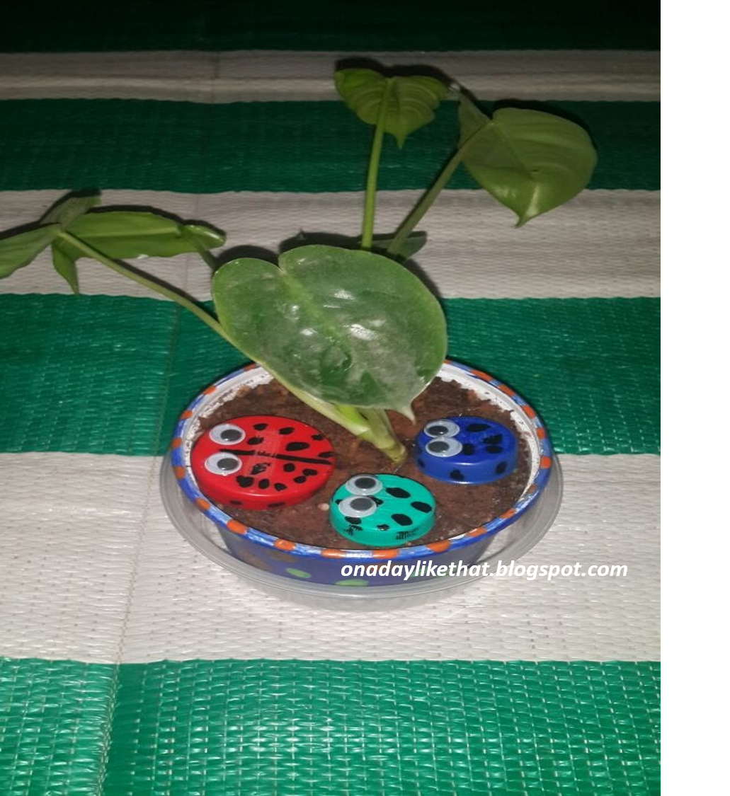 Bottle cap bugs activity