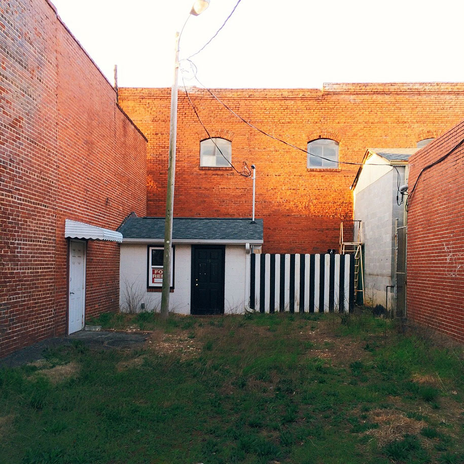 найди собаку подсказки. игра найти собаку. найди среди котов. найди кота среди собак. найди собаку 15.