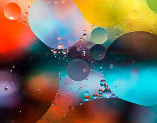 Commonality Builds A Bridge