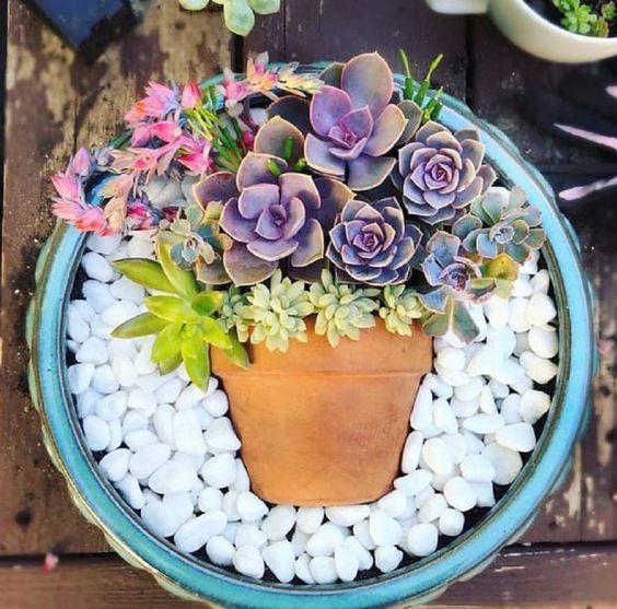 Macetas para suculentas muy originales para decorar tu espacio favorito