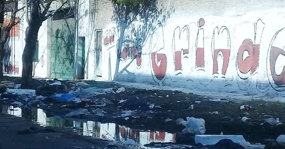 La Defensa “¿Los carreros son indispensables?”