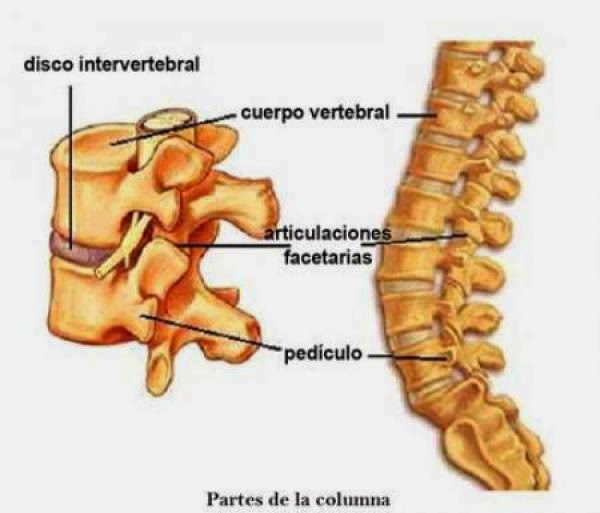 Calmar el dolor en los riñones del ejercicio