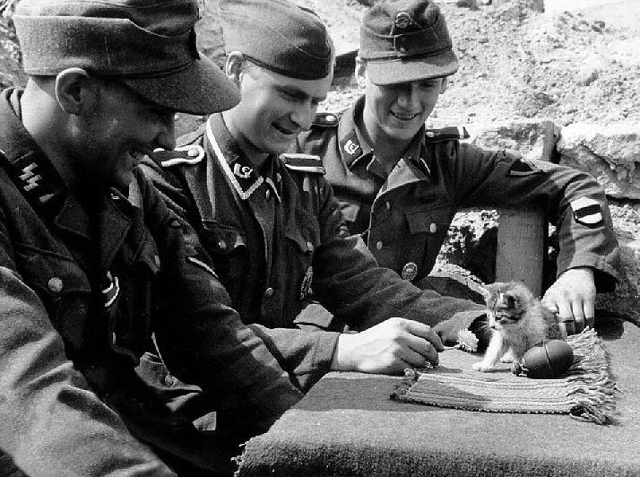 german_soldiers_play_with_a_kitten__1866250403.jpg