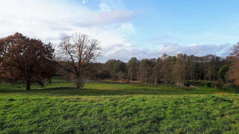 View of the River Bure heading out of Wroxham