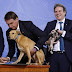 Bolsonaro sanciona lei de maus-tratos de animais