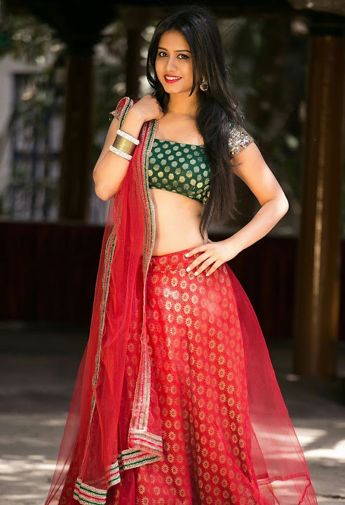 Nabha Natesh Photo Gallery
