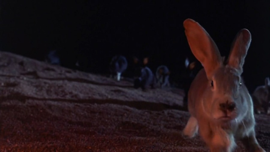 A NOITE DOS COELHOS (DUAL ÁUDIO/720P) – 1972 FormatFactoryA.Noite.dos.Coelhos.1972.HDTV720p..CaNNIbal.mkv_snapshot_01.15.27.030