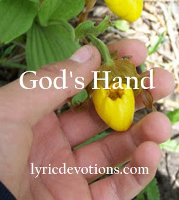 a hand holding a lady slipper, God's hand