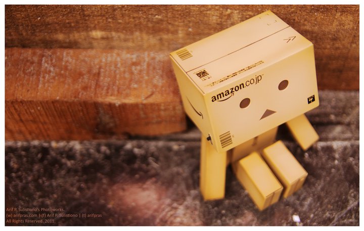 Boneka Danbo (part 2)