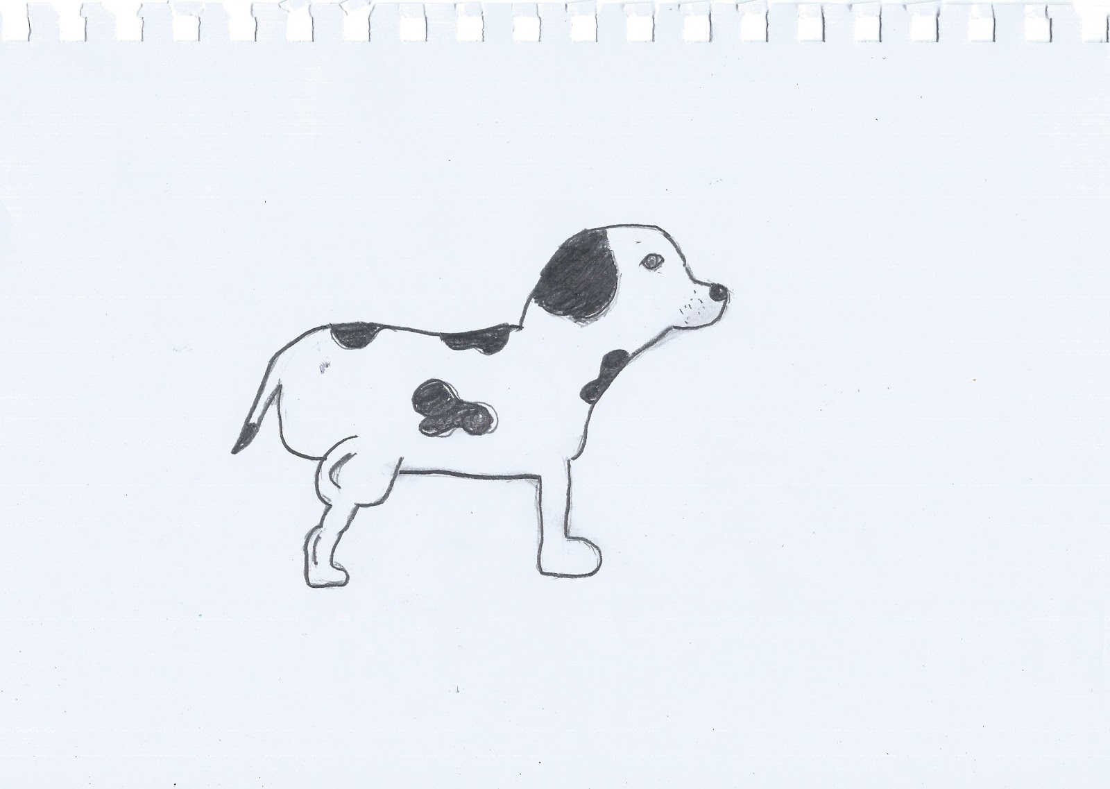 Drawing With Hayden How To Draw A Dog Standing SideView