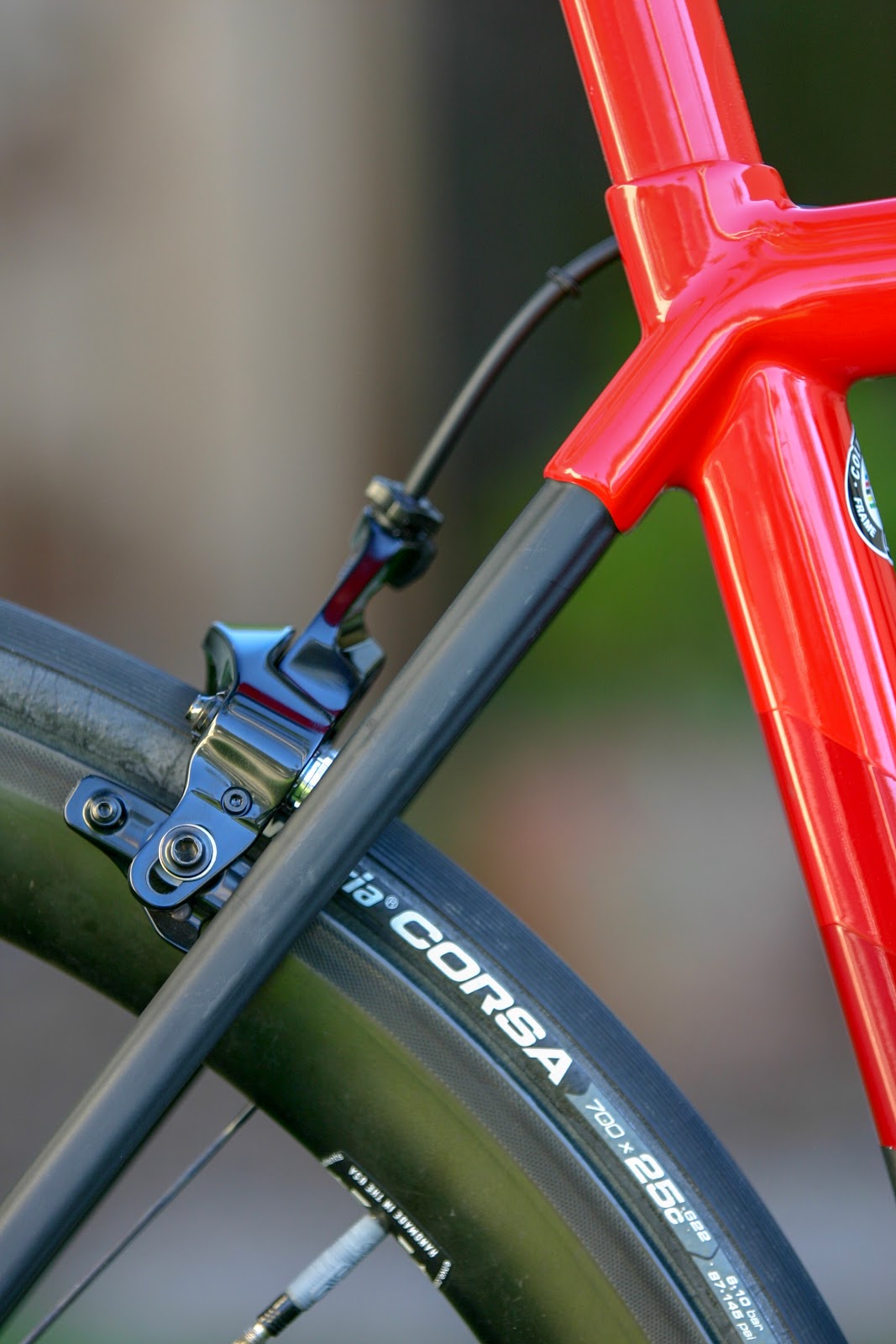 blue colnago state park