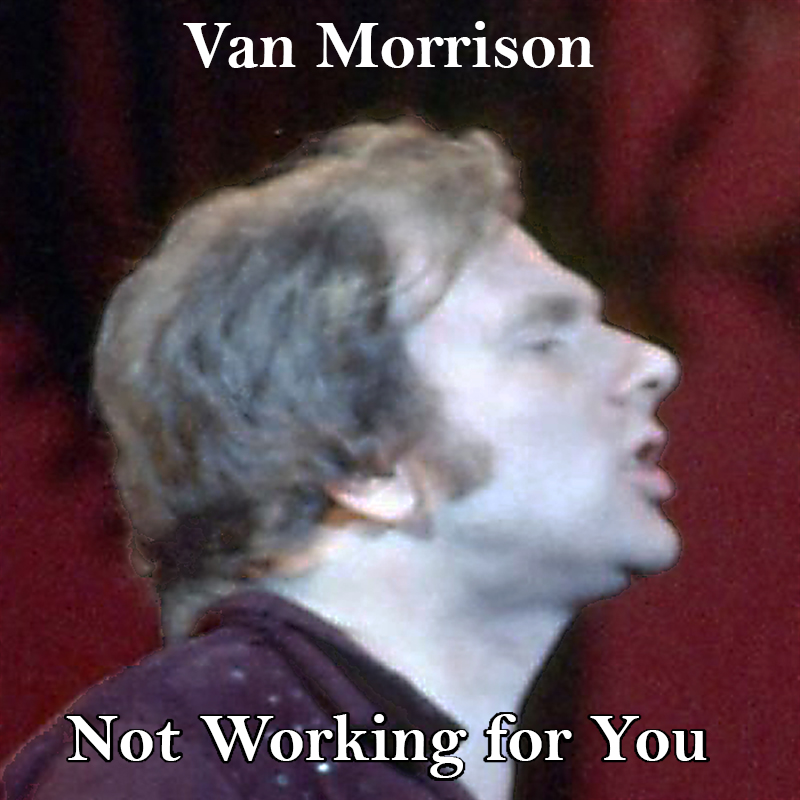 Albums That Should Exist Van Morrison Not Working for You Non